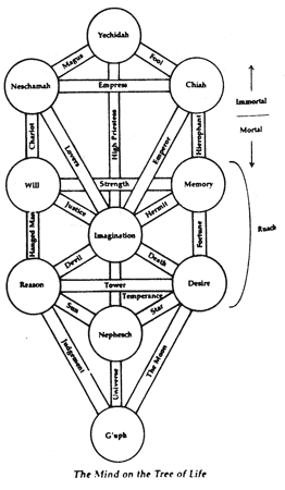 Tree of Life