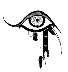 Eye